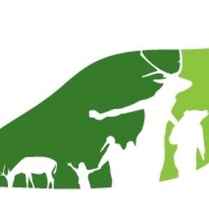 Profile picture for MammadabaMeistarklase