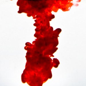 Profile picture for manuel.flury@gmail.com