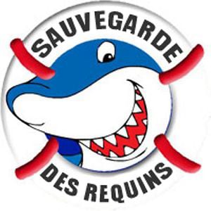 Profile picture for Sylvie Lemaire