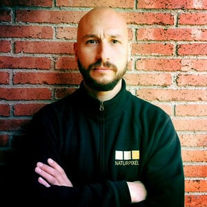 Profile picture for Joan Vendrell