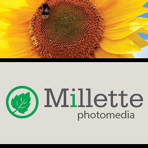 Profile picture for Millette PhotoMedia