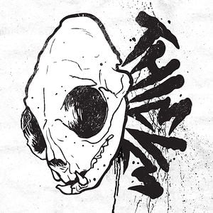 Profile picture for ThieveClothing