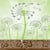 Songseeds.org