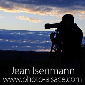 Profile picture for Jean Isenmann