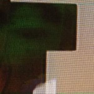 Profile picture for Gorilla Brutality