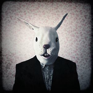 Profile picture for maxtoneto