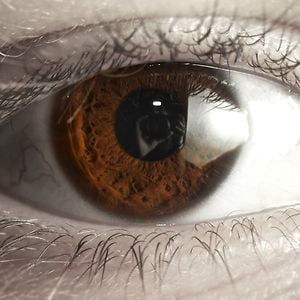 Profile picture for Robert Beerwerth