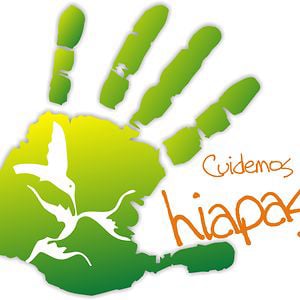 Profile picture for ONG Cuidemos.org