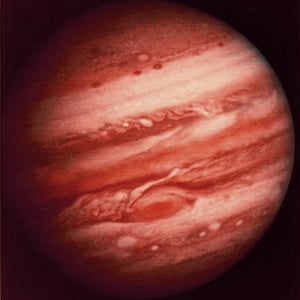 Profile picture for Jupiter Farms