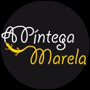 Profile picture for A Píntega Marela