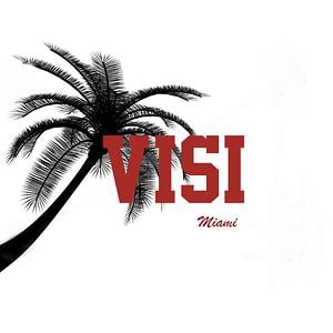 Profile picture for VISI