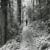 path01
