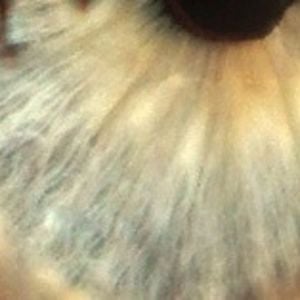 Profile picture for Grace Mahony
