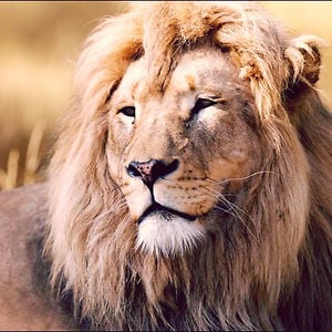 Profile picture for LWTBP
