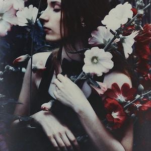 Profile picture for Julia Alt