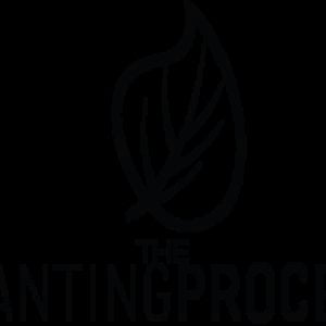 Profile picture for The Planting Process
