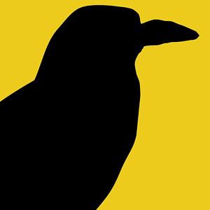 Profile picture for Bloomington Crow Media LLC