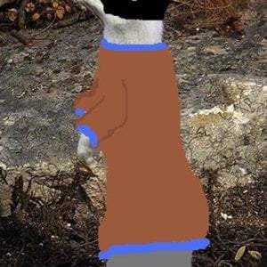 Profile picture for T.Trifonitchev
