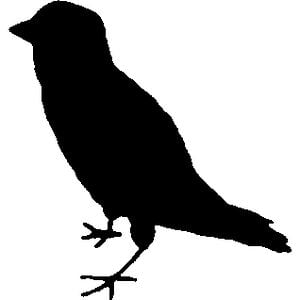 Profile picture for canarysanctuary