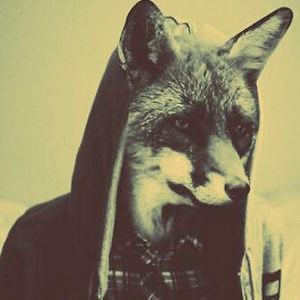 Profile picture for Kapuzen Auf