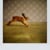 Jacob Garding