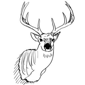 Profile picture for Greg Kohs