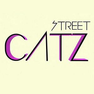 Profile picture for streetcatztv