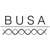 MIT BUSA