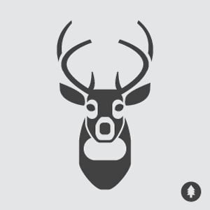 Profile picture for Belenly