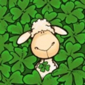 Profile picture for Chuqiao Wang
