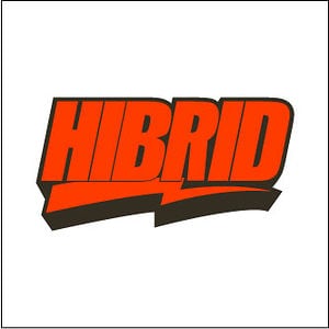 Profile picture for HIBRIDskateboards