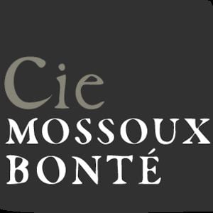 Profile picture for Cie Mossoux-Bonté