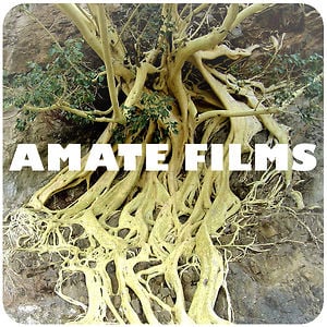 Profile picture for Amate Films