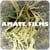 Amate Films