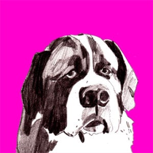 Profile picture for James Frost