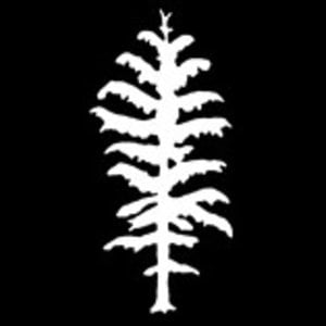 Profile picture for Hemlock Records