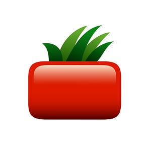 Profile picture for Square Tomato