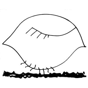 Profile picture for Paolo Scoppola