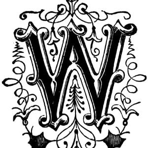 Profile picture for Wheelie Bmx Mag