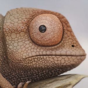 Profile picture for Boris LAPRADE