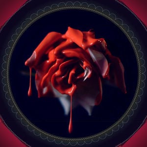 Profile picture for Menno Fokma Studio
