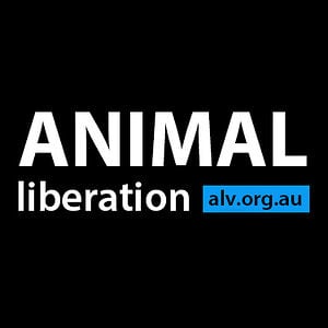 Profile picture for Animal Rights