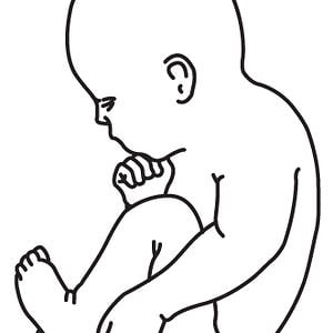 Profile picture for Human Suits