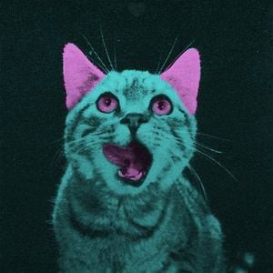 Profile picture for longcat