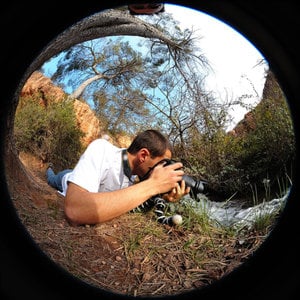 Profile picture for Lew
