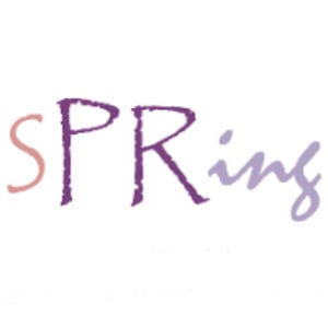 Profile picture for Proyecto Spring