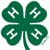 4-H International TV Club