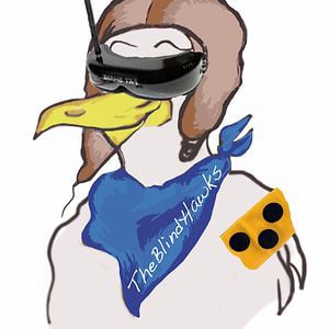 Profile picture for TheBlindHawks