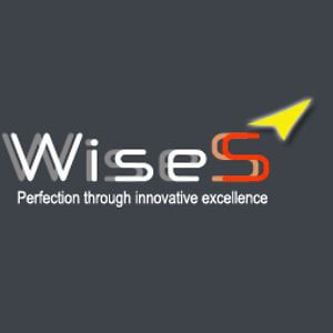 Profile picture for Wise Sooryagni Info Pvt Ltd