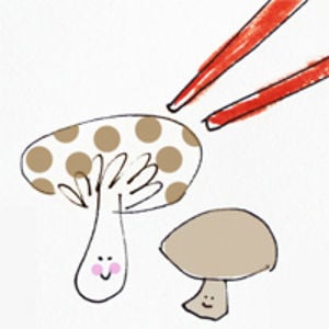 Profile picture for A Little Yumminess